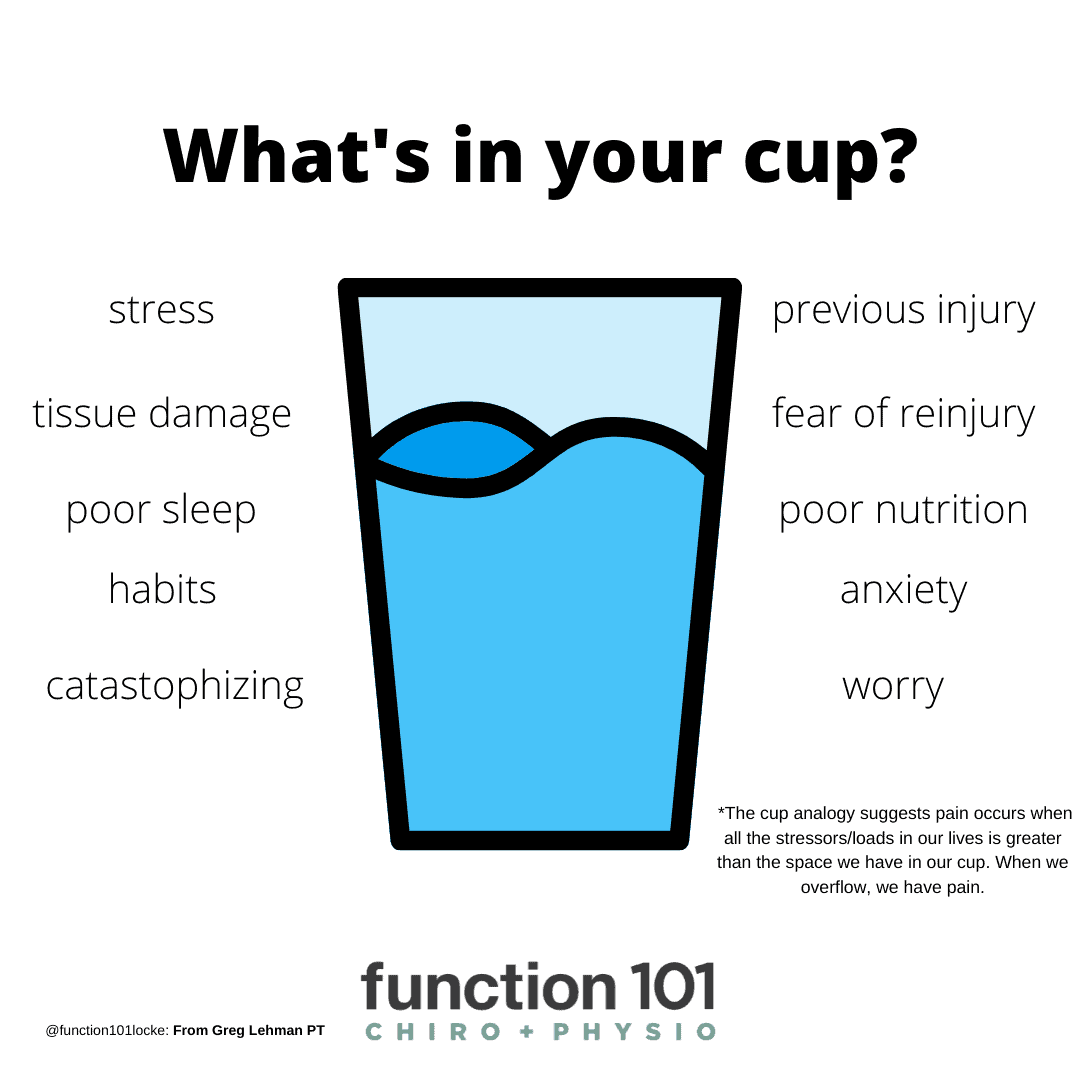 What's in your cup? A helpful reframe for your pain. - Function101 Chiro +  Physio