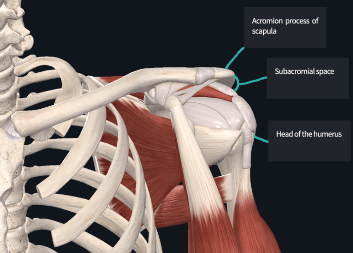 Shoulder pain? It could be subacromial impingement. - Our Chiro